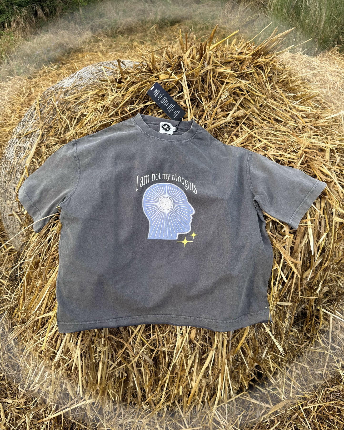 *I AM NOT MY THOUGHTS* BOXY TEE